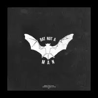 Bat not A heroes - design