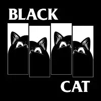 Black Cat - design