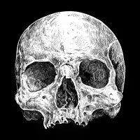 Skull Art - design