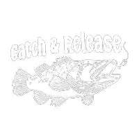 Catch and Release - design