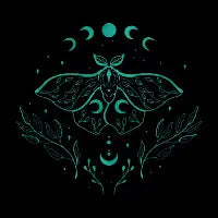 Moon and Moth Minimalist - design