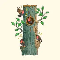 Morning Melody - design