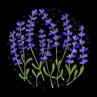 Purple Lavender - design