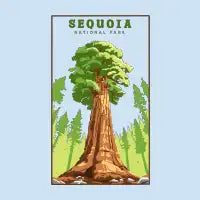 Sequoia National Park - design