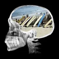 Board Brains - design