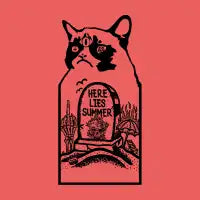 Fuck Summer - design