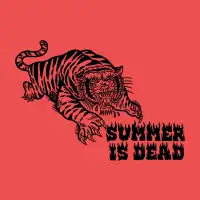 Tiger Flames - design