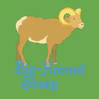 Big Horned Sheep - design