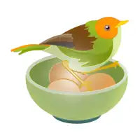 Bird Nest - design