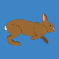 Chocolate Easter Bunny Rabbit - design