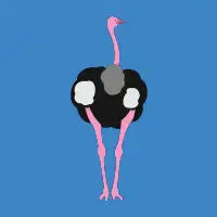 Ostrich Bird - design