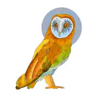 Owl - design