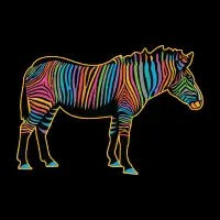 Rainbow Zebra - design