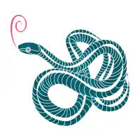Snake - design