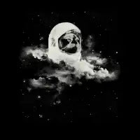 Catstrounaut - design