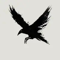 The Raven - design