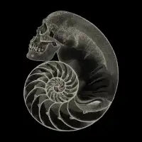 Sea'sHell - design