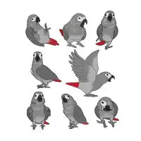 African Grey Parrot Doodle Pattern - design