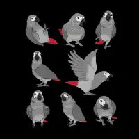 African Grey Parrot Pattern - design