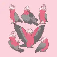 Galah Cockatoo Pattern - design