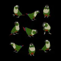 Green Cheeked Conure Pattern - design
