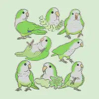 Green Quaker Parrot Doodle Pattern - design