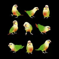 Pineapple Conure Doodle Pattern - design