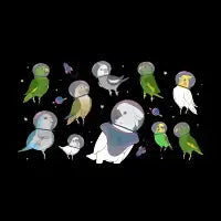 Space Birbs Pattern - design