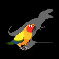t-rex sun conure - design