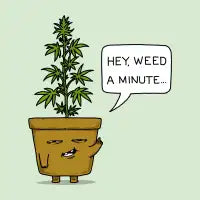 Weed a Minute - design