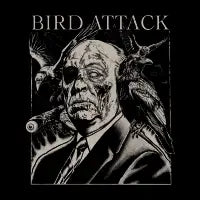 Bird Attack - design