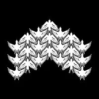Birds Flying in Geometric Formation - design
