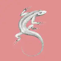 lizard - design