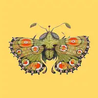 Moth - design