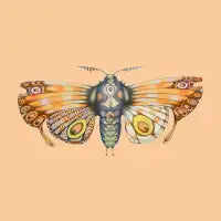 Orange moth - design