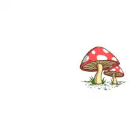 Mushrooms - design