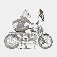 Pirates MC - design