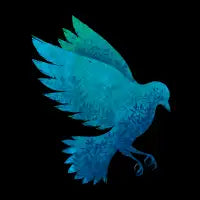 Birdy Bird - design