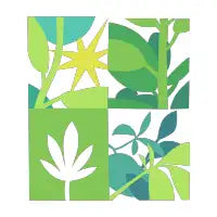 Naturalis - design