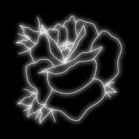 Neon Rose - design