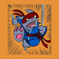 Ninja Cat - design