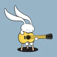 Bunny's Acoustic Set - design