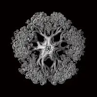 OPHIODEA - design