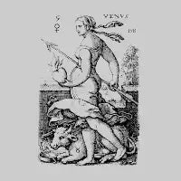 VENUS - design