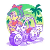 Capsule No. 9 - design