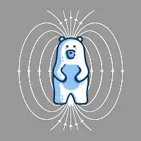Polar Bear Pun - design