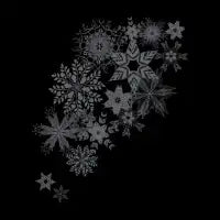 The Forest Drift - design