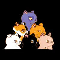 Diverskitty - design