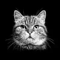 Cute Cat Portrait - design