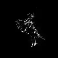 Horse Rider - design